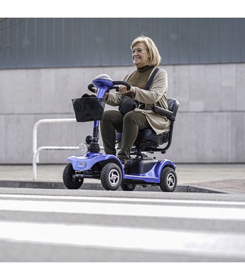 Scooter de Mobilité City 250W
