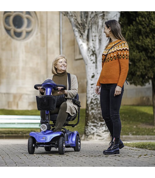 Scooter elettrico per disabili CITY 250W