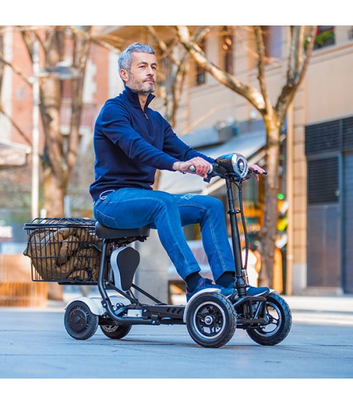 Electric Mobility Scooter 500W | TRAVEL |