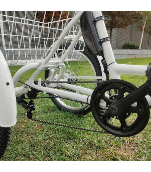 Triciclo elétrico para adultos e-TRIKE