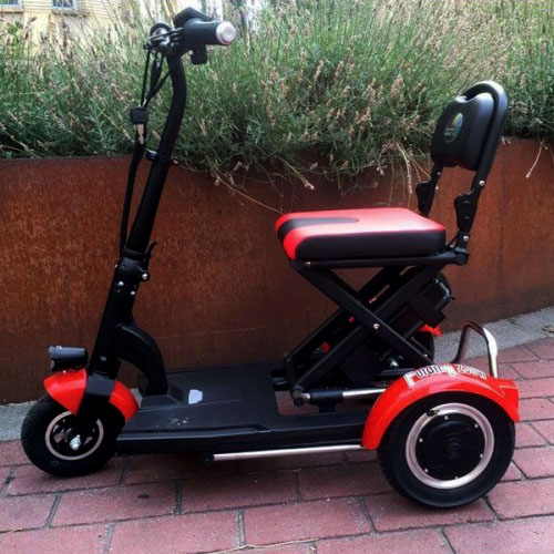 Electric Folding Scooter 300W